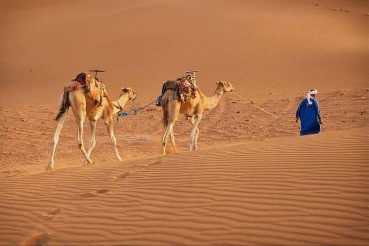 Marrakech to Zagora: 2-Day Desert Camp and Camel Trek