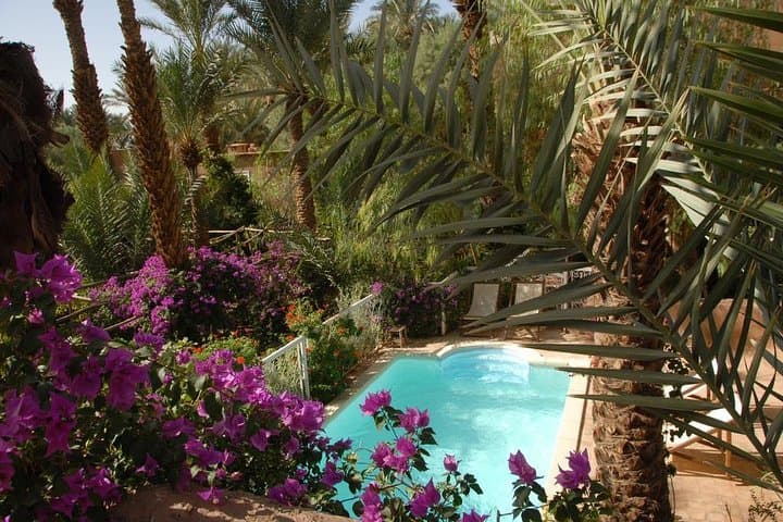 Marrakech to Zagora: 2-Day Desert Camp and Camel Trek photo 6