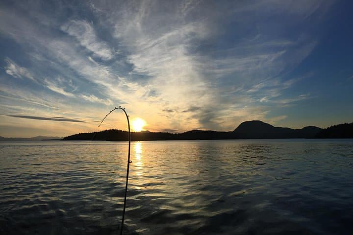 North End Salmon Charter: 4-Hour Clover Pass Fishing Trip from Ketchikan photo 3