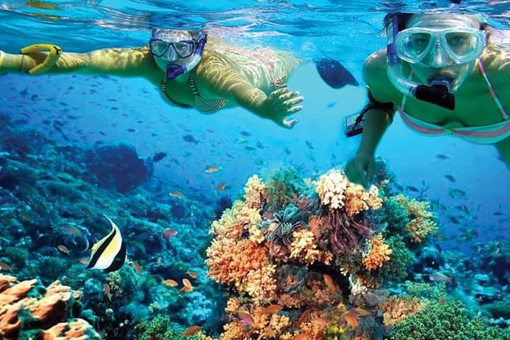 Catamaran to Isla Mujeres: Snorkel, Open Bar & Beach Club Day Trip from Cancun photo 2