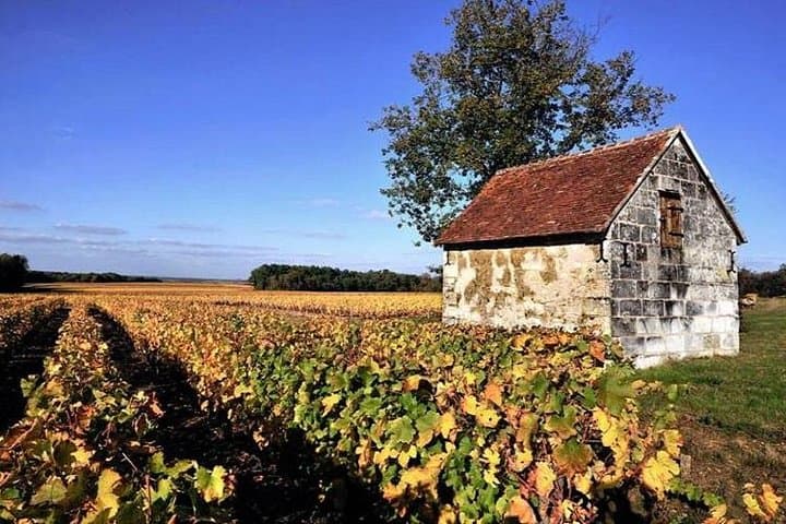 Chenonceau & Touraine Wine Private Day Tour from Paris photo 2