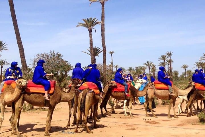 Camel ride in La Palmeraie — 2-hour desert-ship ride from Marrakech photo 2
