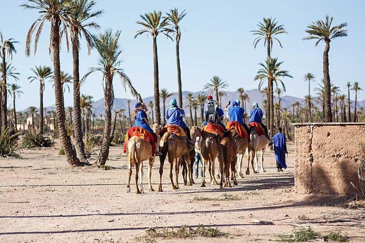 Camel ride in La Palmeraie — 2-hour desert-ship ride from Marrakech photo 3