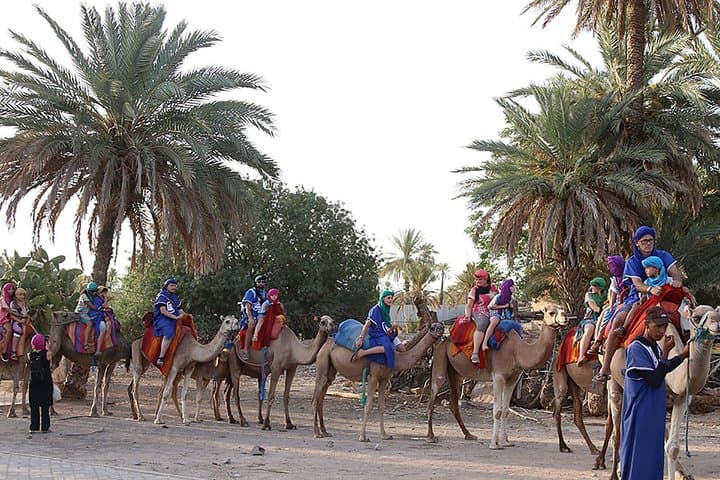 Camel ride in La Palmeraie — 2-hour desert-ship ride from Marrakech photo 4