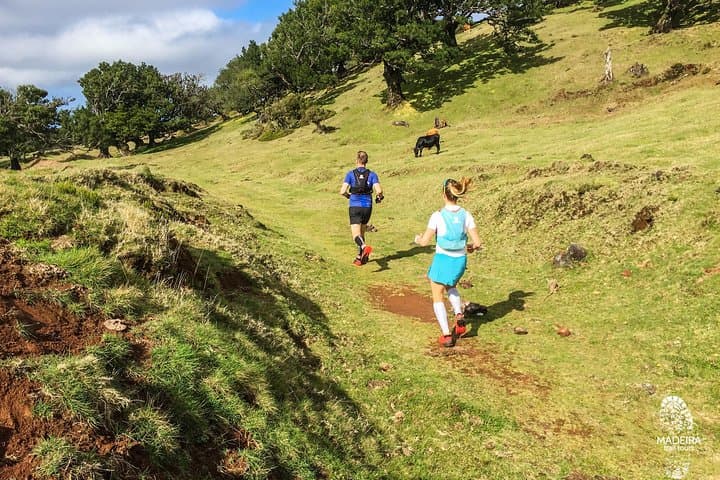 Fanal Ancient Forest Running Tour: 15km Laurisilva Loop via Levada dos Cedros photo 2