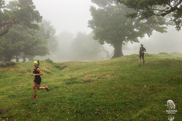 Fanal Ancient Forest Running Tour: 15km Laurisilva Loop via Levada dos Cedros photo 3