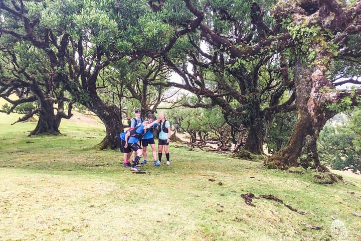 Fanal Ancient Forest Running Tour: 15km Laurisilva Loop via Levada dos Cedros photo 5