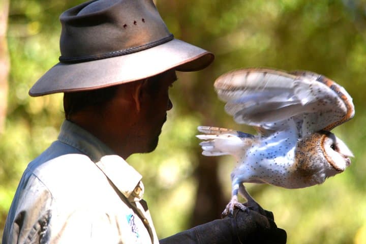 Berry Springs & Territory Wildlife Park Shuttle from Darwin photo 4