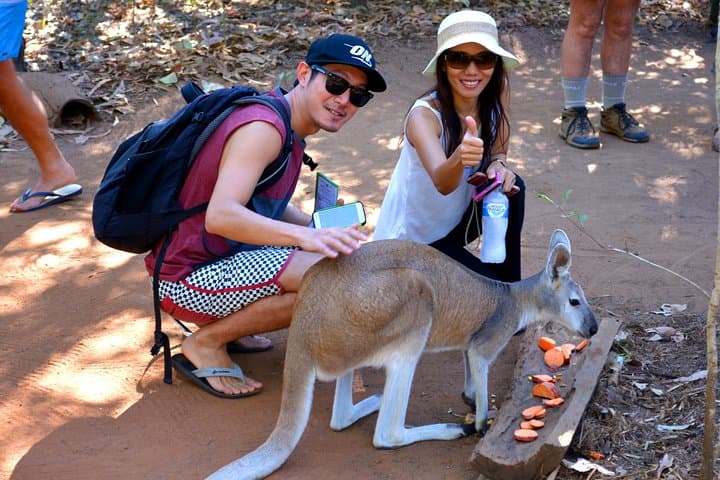 Berry Springs & Territory Wildlife Park Shuttle from Darwin photo 5