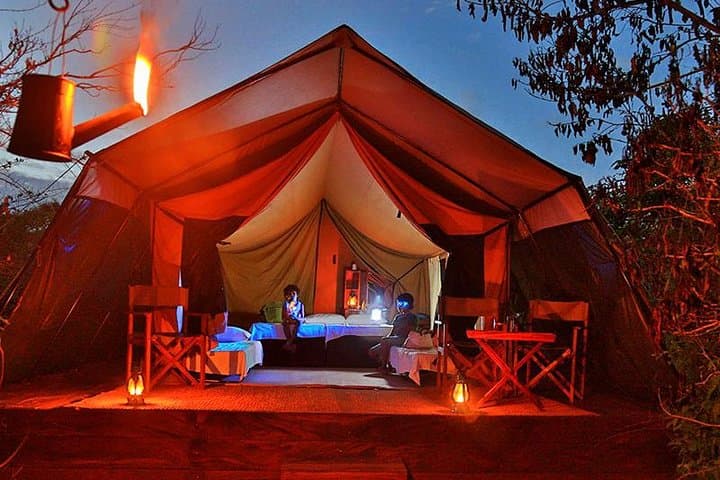 Overnight Leopard Nest Glamping at Yala National Park: Luxury Safari & Dawn Drives photo 3