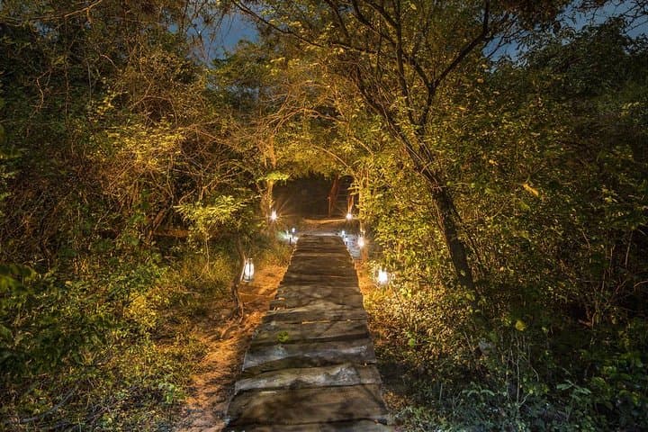 Overnight Leopard Nest Glamping at Yala National Park: Luxury Safari & Dawn Drives photo 4