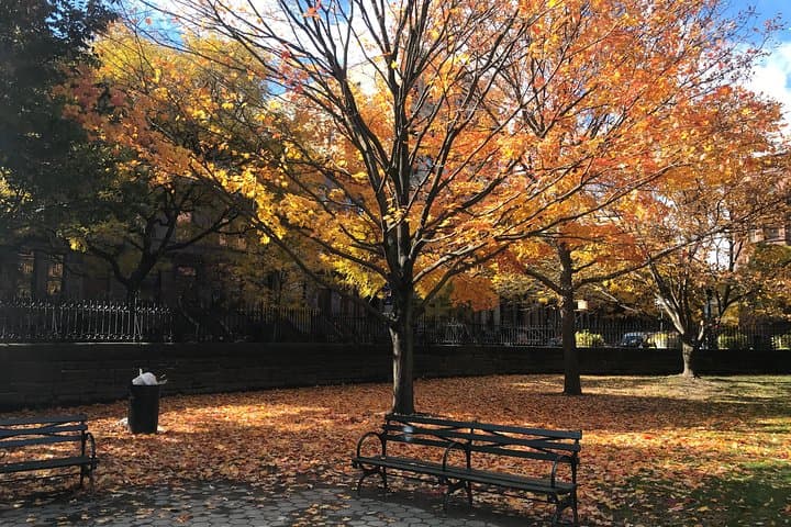 Walk Harlem’s Mount Morris Park Historic District — 3-Hour Guided Tour with Lunch photo 2