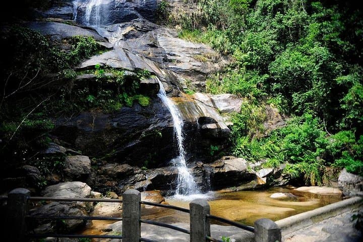 Tijuca Forest Hike with Snack: Taunay Waterfall, Vista Chinesa & Botanical Garden photo 2