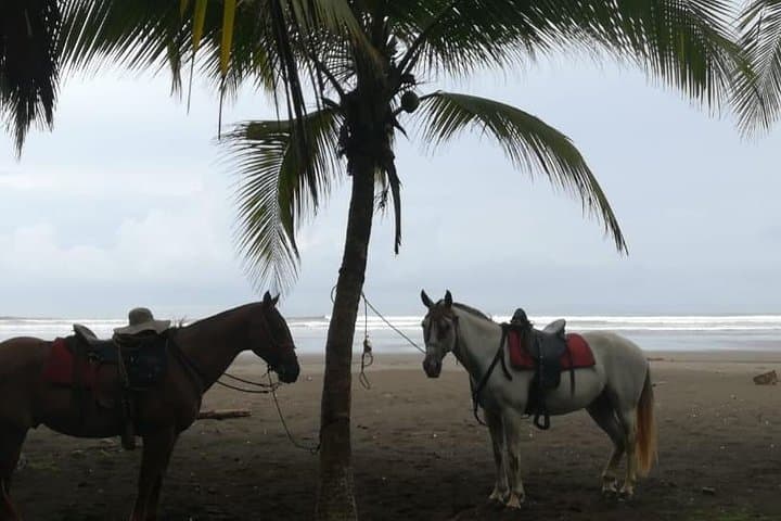 Beach Horseback Ride Near Jaco: 2-Hour Guided Coastal Adventure photo 5
