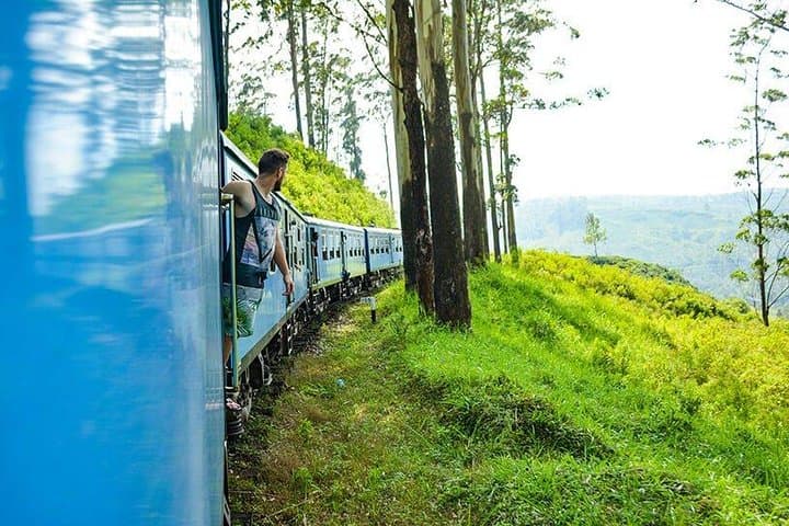 Horton Plains World’s End Hike and Scenic Hill-Country Train Ride photo 5