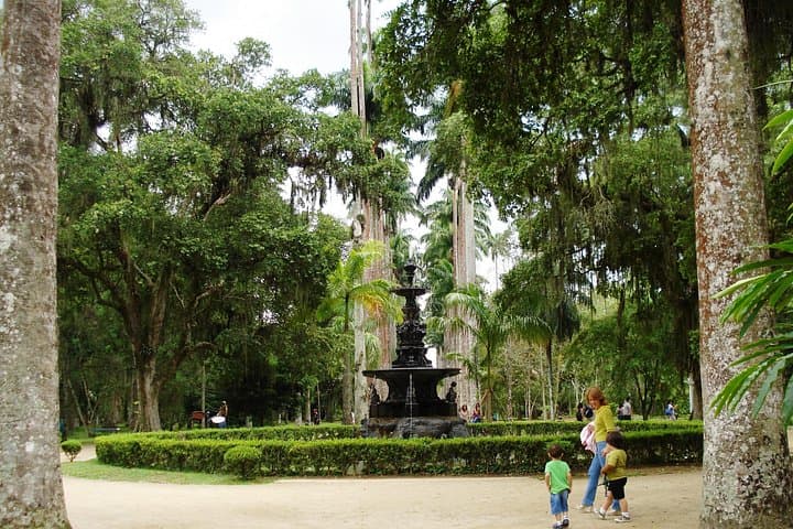 Tijuca Forest Hike with Snack: Taunay Waterfall, Vista Chinesa & Botanical Garden photo 4