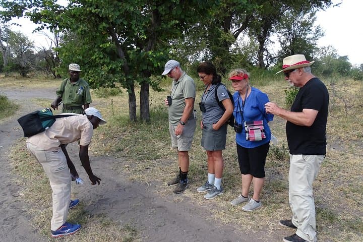 Walking with Rhinos: Livingstone Half-Day Rhino Walking Safari & Bush Medicine Tour