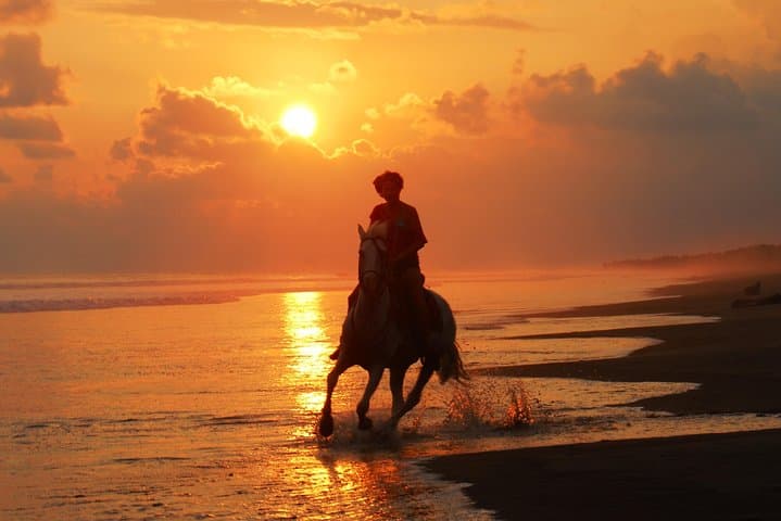 Sunset Horses: Golden‑Hour Beach Ride Near Quepos photo 4