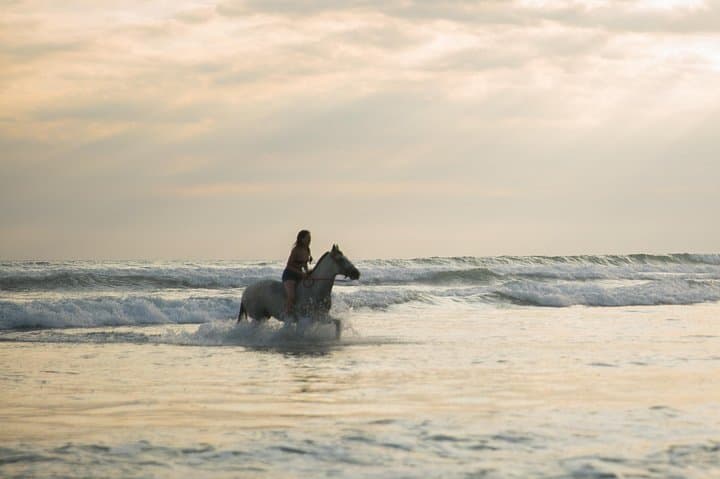 Sunset Horses: Golden‑Hour Beach Ride Near Quepos photo 5