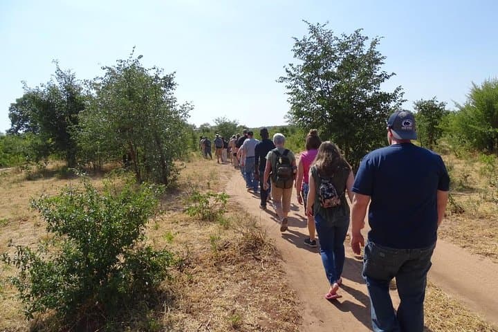 Walking with Rhinos: Livingstone Half-Day Rhino Walking Safari & Bush Medicine Tour photo 2