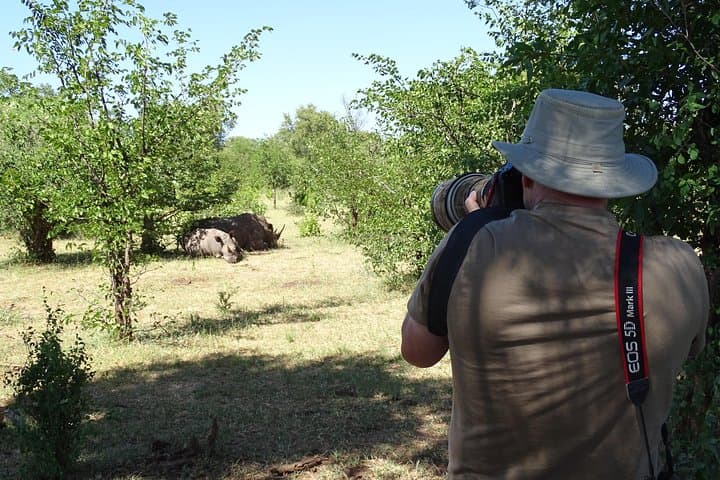 Walking with Rhinos: Livingstone Half-Day Rhino Walking Safari & Bush Medicine Tour photo 3