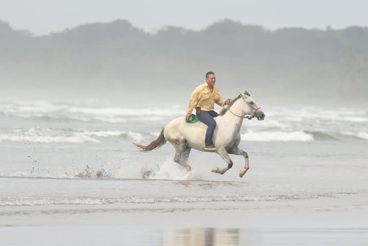 Sunset Horses: Golden‑Hour Beach Ride Near Quepos photo 6