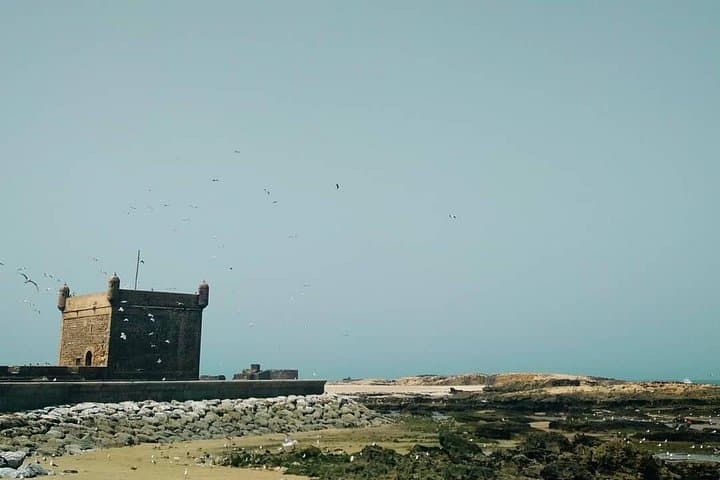 Day Trip from Marrakech to Essaouira — Coastal Medina, Argan Groves & Fresh Seafood