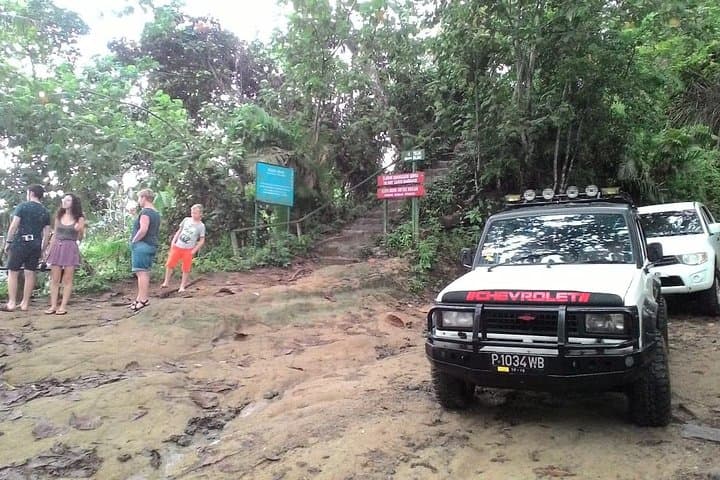 Sukamade Turtle Beach Tour: Night Nesting and Baby Turtle Release in Meru Betiri photo 2