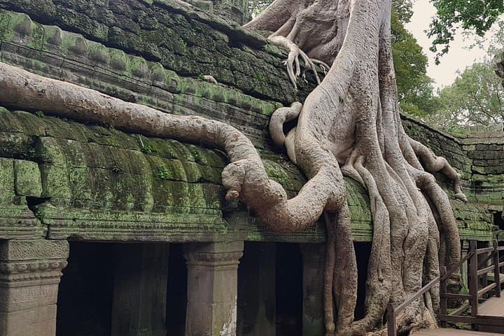 Angkor Small Tour: Angkor Wat, Bayon, Ta Prohm & Banteay Srei in One Day photo 4