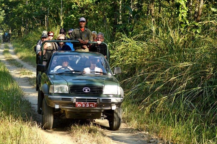 Luxury Tour of Nepal: Kathmandu Heritage, Chitwan Safari & Pokhara Phewa Lake photo 3