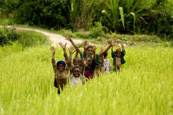 Andringitra & Tsaranoro: 13-Day Hiking Expedition in Madagascar photo 4