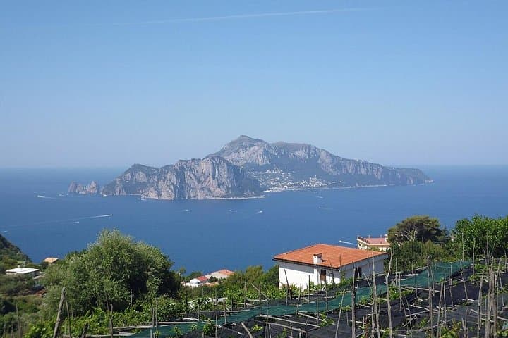 Capri, Blue Grotto, Sorrento & Pompeii — Full-Day Private Tour from Positano or Amalfi photo 3