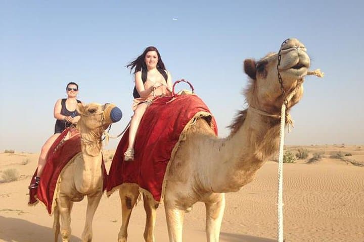 Giza Pyramids, Sphinx & Saqqara: Full-Day Private Tour from Cairo with Camel Ride photo 3