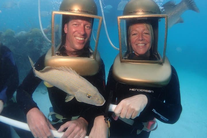 Hartley Helmet Diving: Walk Bermuda's Shallow Reefs for Up-Close Fish Encounters photo 5