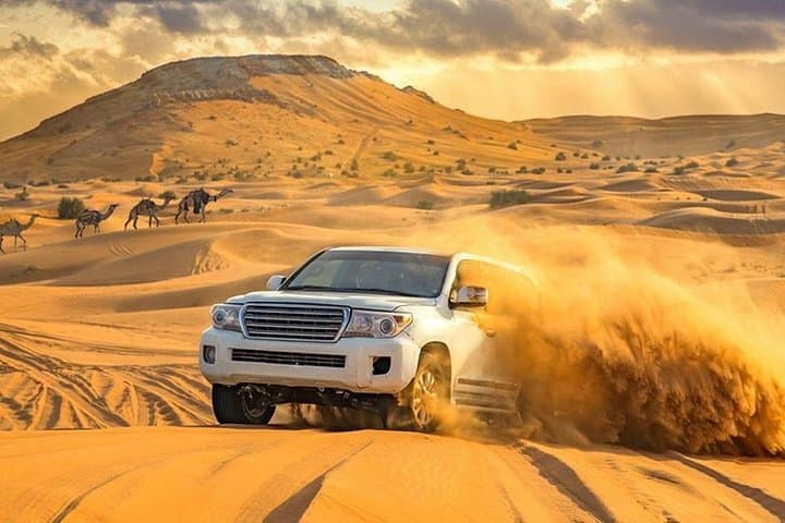 Afternoon Desert Safari & BBQ in Al Avir — Dune Bashing, Camel Rides, Bedouin Camp photo 3
