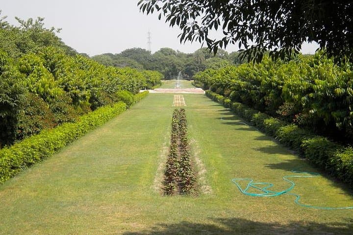 Overnight Agra and Bharatpur Bird Sanctuary: Taj Sunrise & Keoladeo Safari