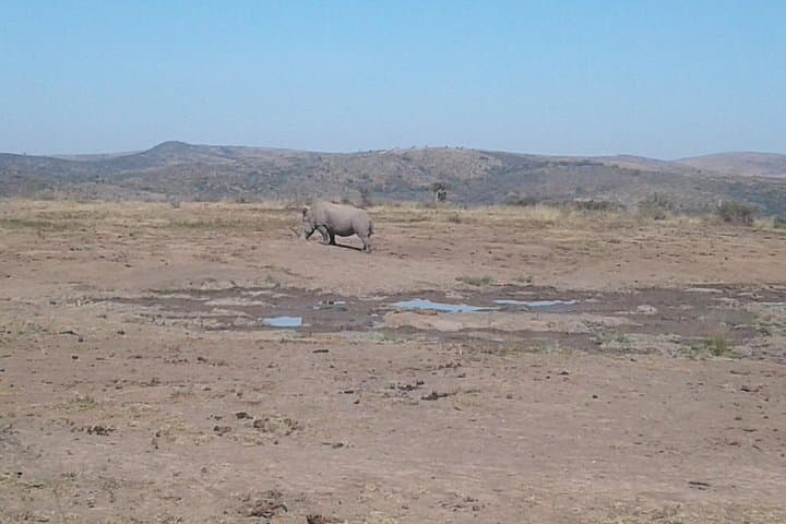 Hluhluwe Game Reserve Day Safari from Durban — 12-Hour Big 5 Adventure photo 3
