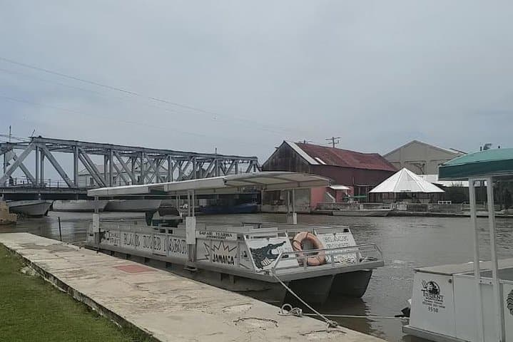 Black River Safari and Appleton Rum Estate Private Tour | River Wildlife & Rum Tasting photo 3