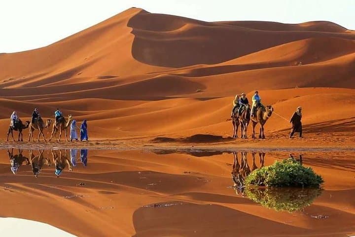 Fez to Erg Chebbi: 2-Day Desert Escape from Fez with Camel Trek and Dune Sunrise photo 3