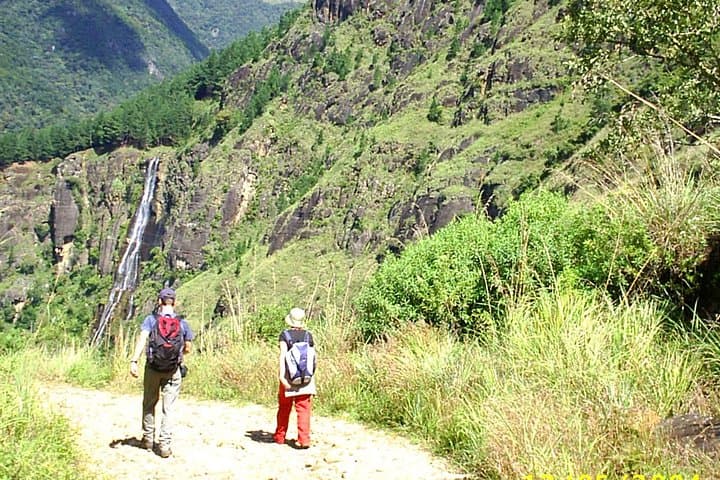3-Day Misty Mountain Trek: Horton Plains & Bambarakanda Falls from Ella
