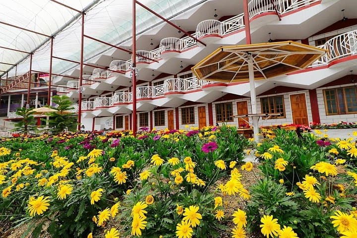 Cameron Highlands Full-Day Private Tour from Kuala Lumpur: BOH Tea, Strawberries & Cactus Valley photo 3