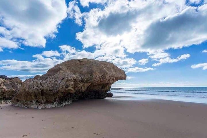 Algarve Coastline & Beaches Private Tour from Albufeira — Best Beaches & Benagil photo 4
