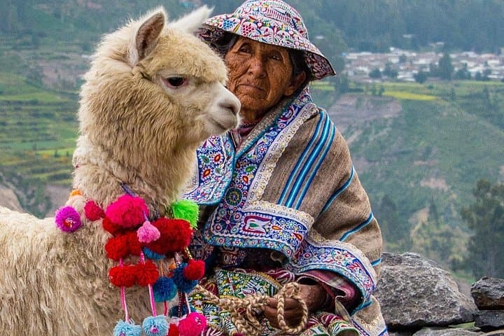 2-Day Colca Canyon from Puno: Cruz del Condor, Vicuñas & Hot Springs photo 3