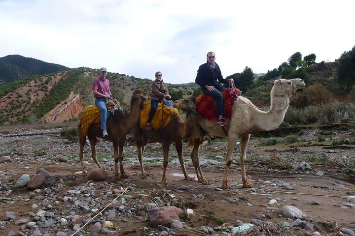 Atlas Mountains Day Trip from Marrakech: Hike, Berber Villages & Camel Ride photo 3