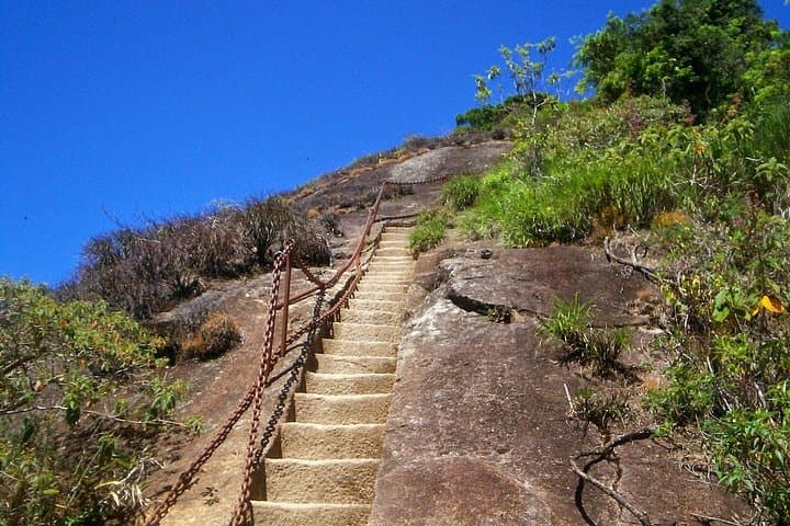 Pico da Tijuca Hiking Tour & Taunay Waterfall: 360° Views Over Rio photo 2