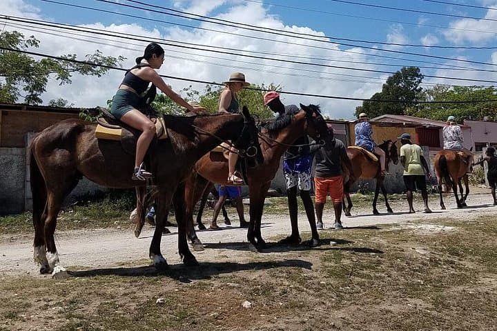 Ride and Swim with Horses on Runaway Bay's Shores photo 6