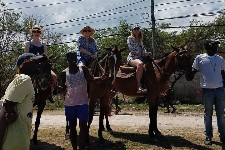 Ride and Swim with Horses on Runaway Bay's Shores photo 4