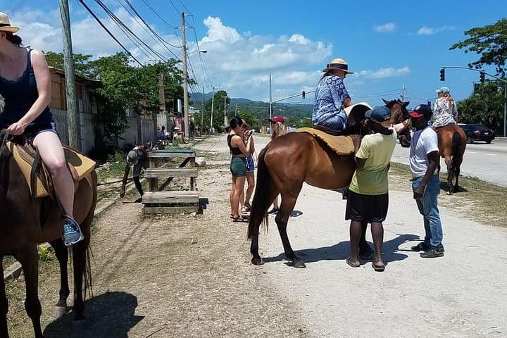 Ride and Swim with Horses on Runaway Bay's Shores photo 5