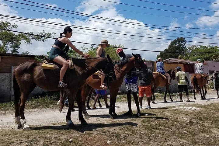 Private Horseback Riding from Ocho Rios — Beach Ride & Horse Swim photo 5