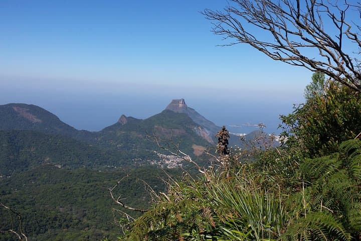 Pico da Tijuca Hiking Tour & Taunay Waterfall: 360° Views Over Rio photo 4